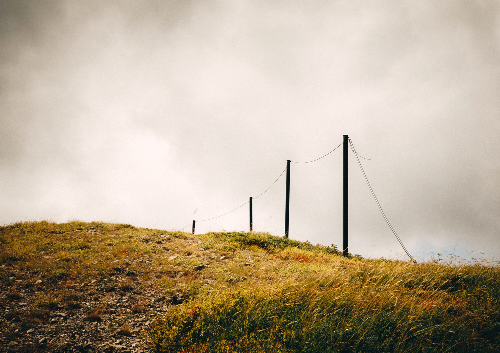 56C91A0D-A48E-478F-8B84-9C69CAF89869