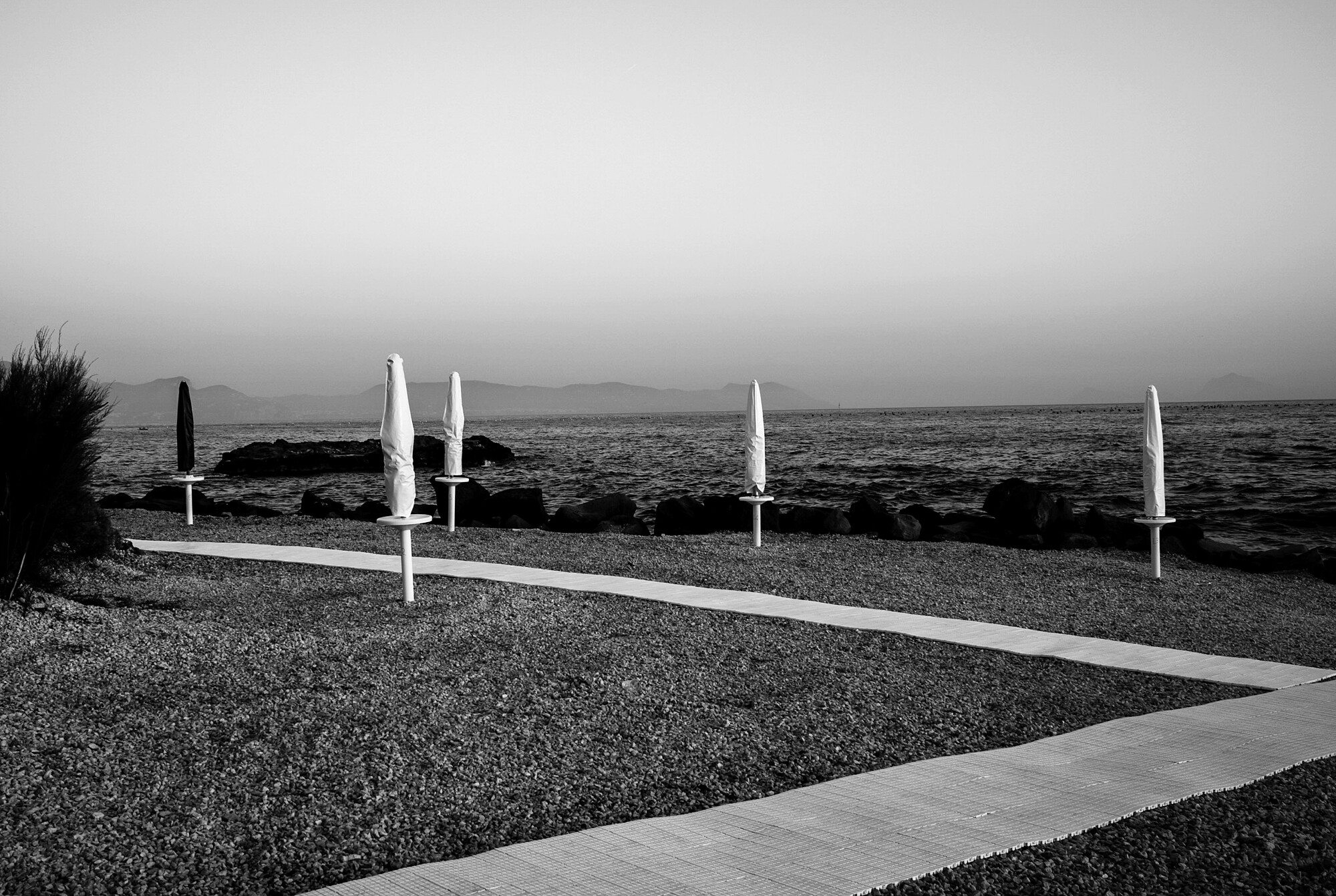 767EC748-C377-4BCD-BC19-030F08A930CC