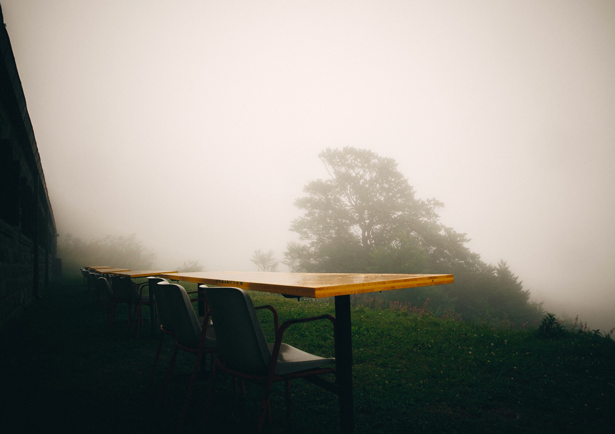 B95854B2-4A08-4A6B-AEA8-74D9ECC9FA6F