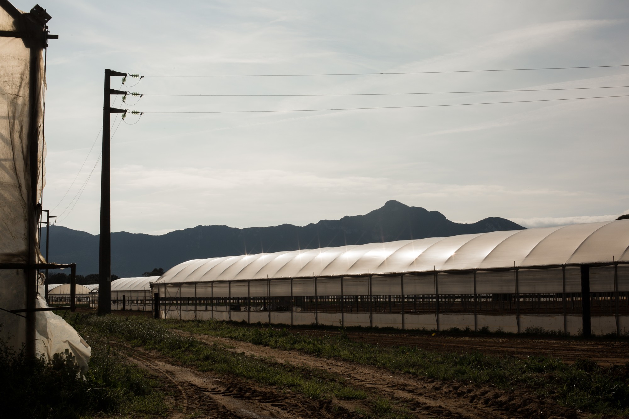 25BFAE7A-7353-49B4-B1C4-598AC2E7AAE7