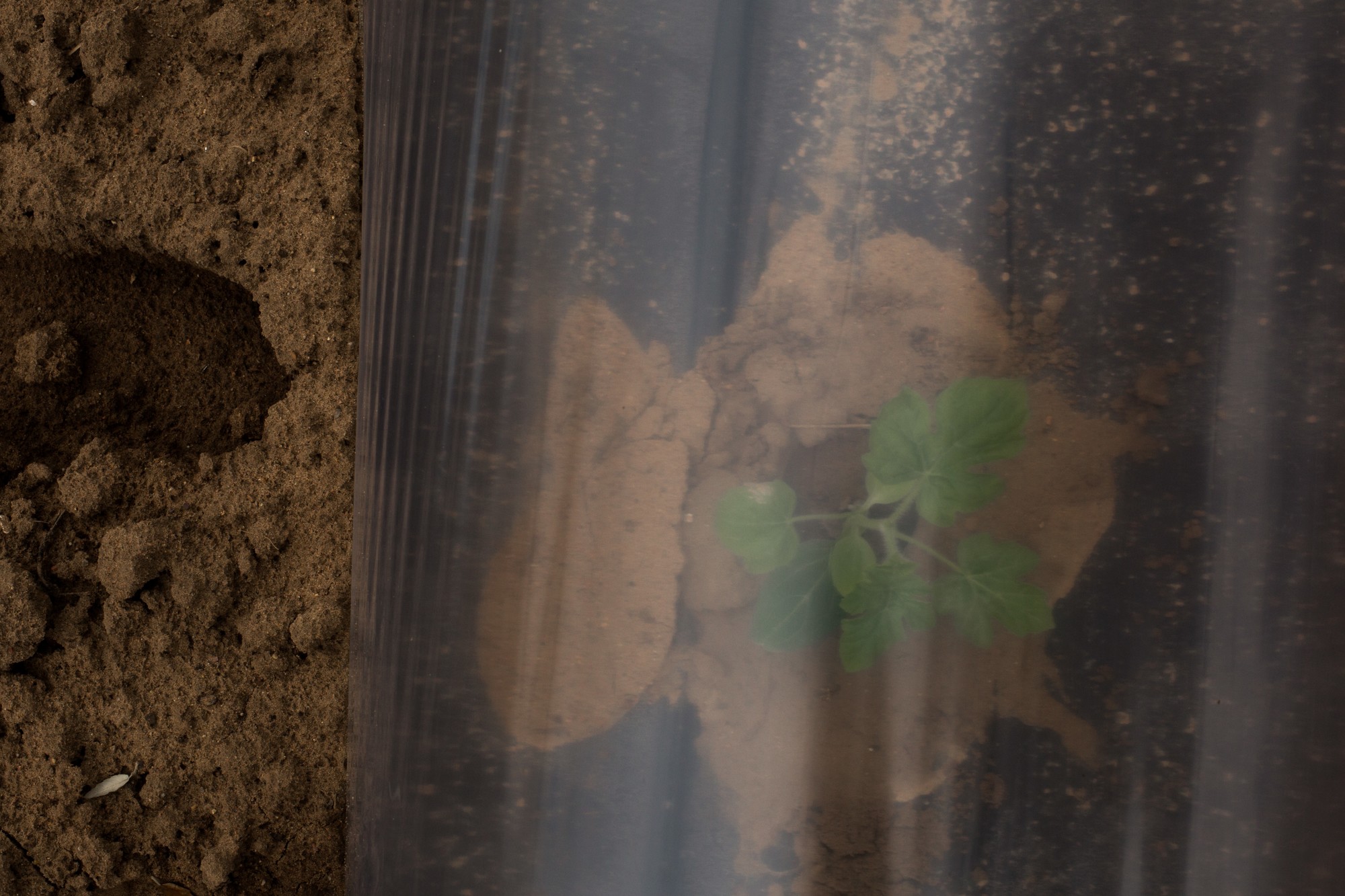 357EDFC2-F98B-48CE-9360-9B40EB5B43DF