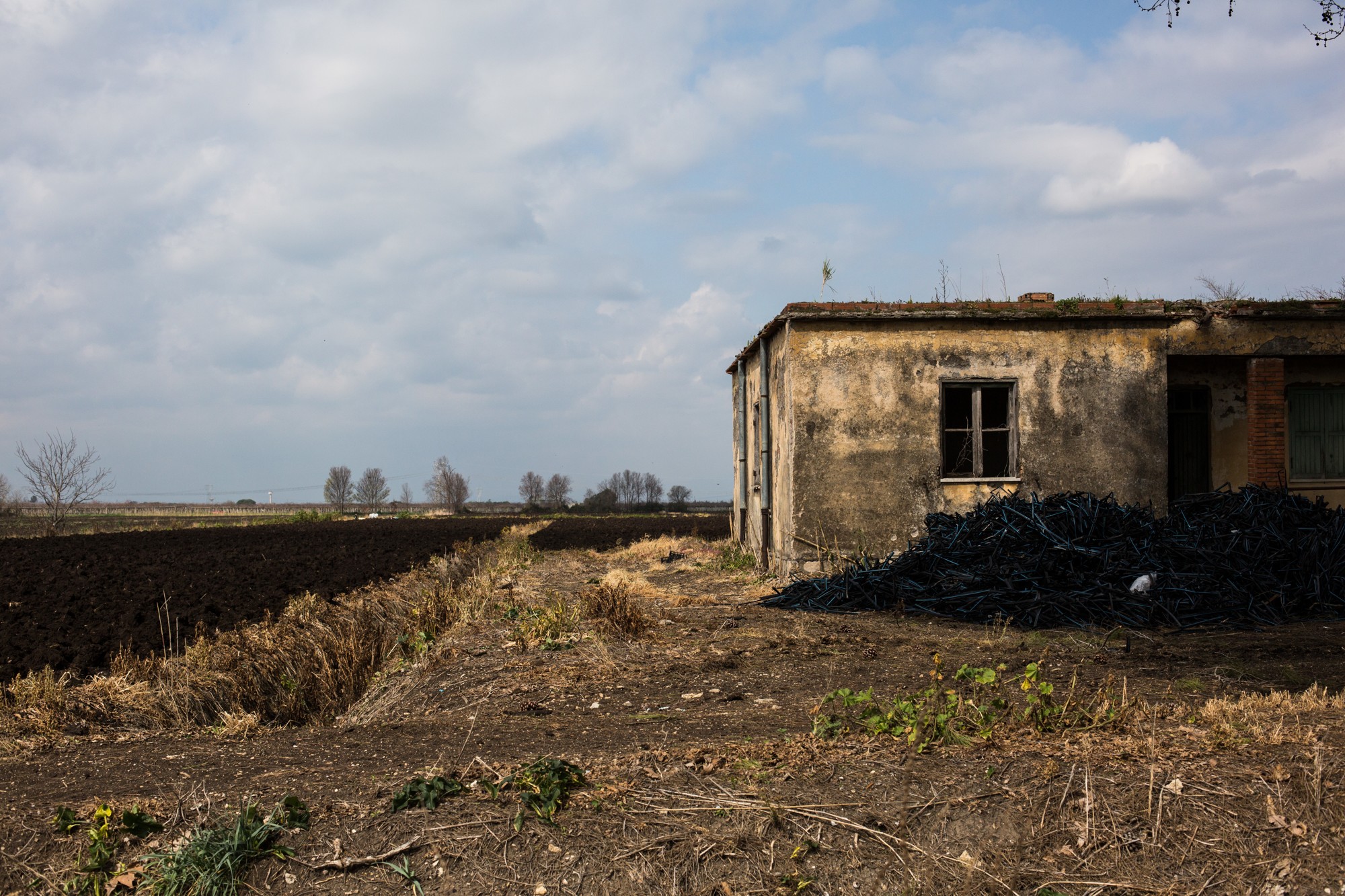 65A4E34A-DCE8-4A9A-8FAA-1A983E87489E