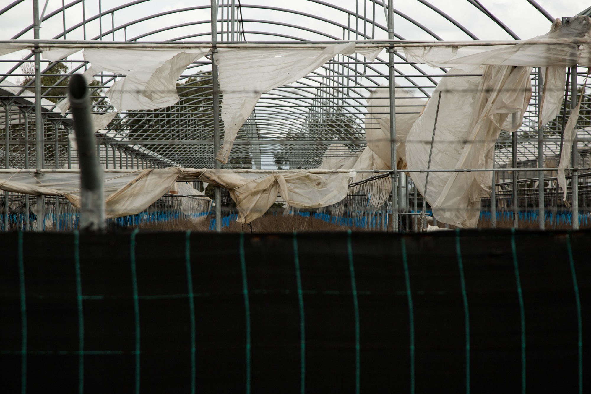 69E43D01-E8BF-4659-A750-528ECEAA5A29