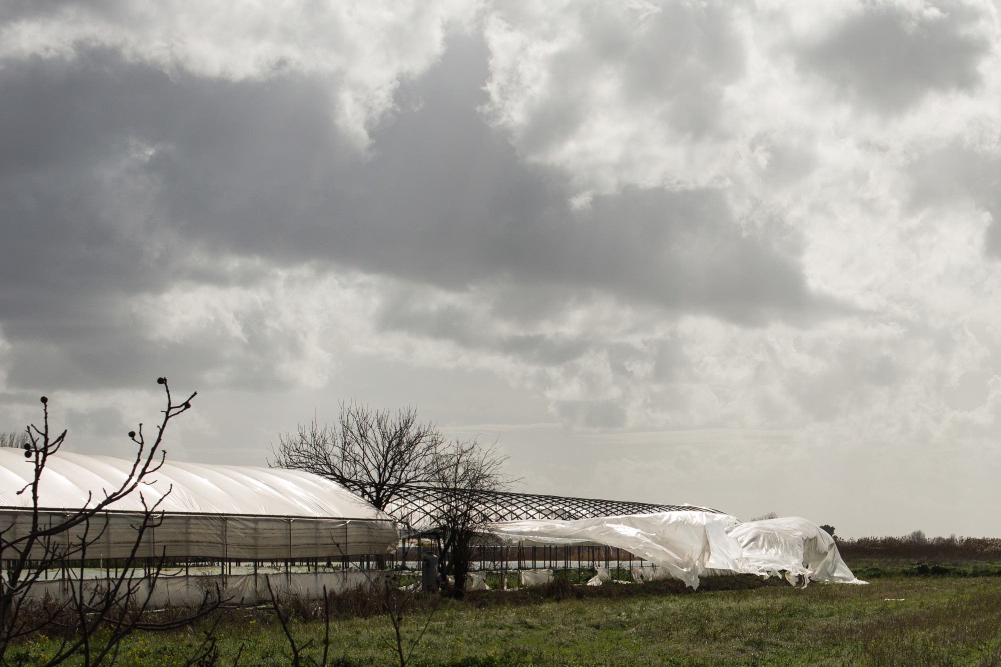 D3B0671A-CC08-4921-95D5-9E537837B8F8