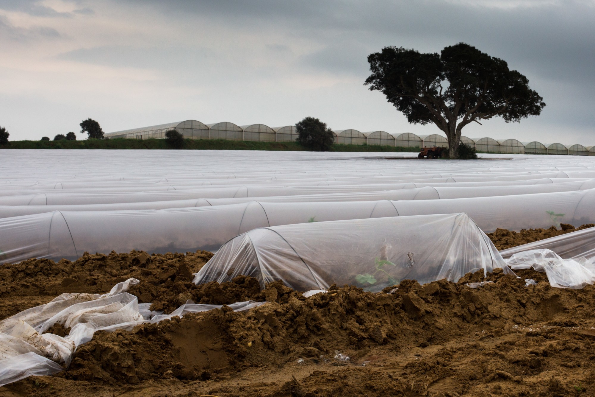 DCED9C7E-BFEF-4B4C-97D3-24CB7FE2C55D