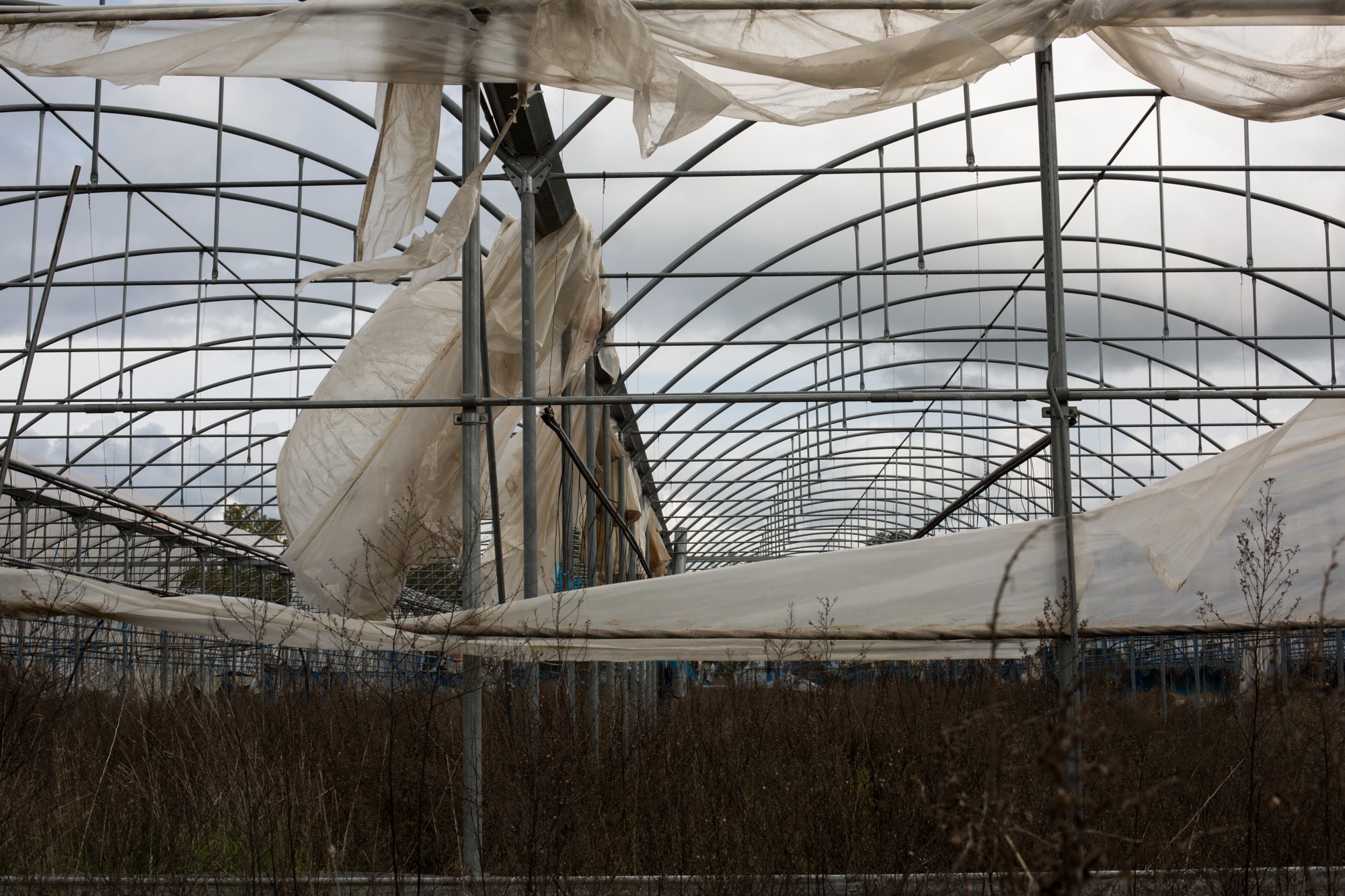 F38163A3-D1D4-4392-94AE-B1755E0C411D